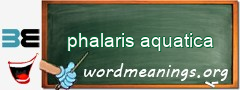 WordMeaning blackboard for phalaris aquatica